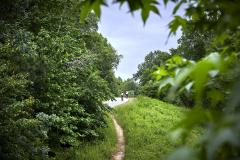 0720_WM_NeuseRiverTrail_2003_gw