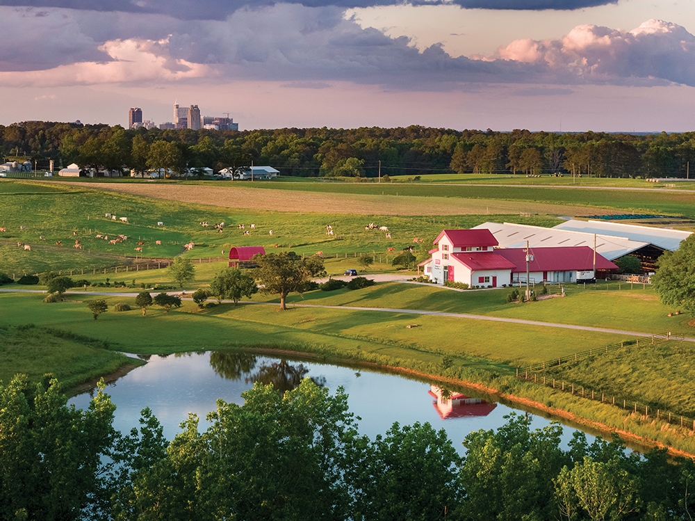 NC_State_Dairy_Farm_for_Walter_Magazine_20190513_photo_by_Justin_Kase_Conder_0108