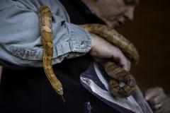 Walnut_Creek_Wetland_Park_for_Walter_Magazine_20190403_photo_by_Justin_Kase_Conder_0254-scaled