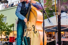 IBMA_3174