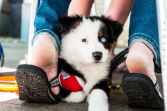 Brewgaloo_0676