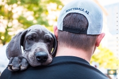 Brewgaloo_0708
