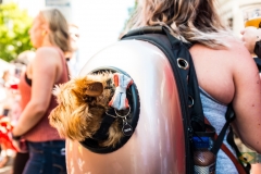Brewgaloo_0713