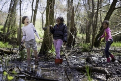 Walnut_Creek_Wetland_Park_for_Walter_Magazine_20190403_photo_by_Justin_Kase_Conder_0880