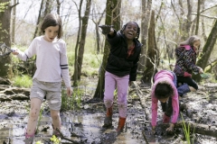 Walnut_Creek_Wetland_Park_for_Walter_Magazine_20190403_photo_by_Justin_Kase_Conder_0898