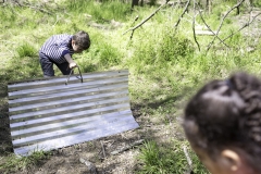 Walnut_Creek_Wetland_Park_for_Walter_Magazine_20190403_photo_by_Justin_Kase_Conder_1106