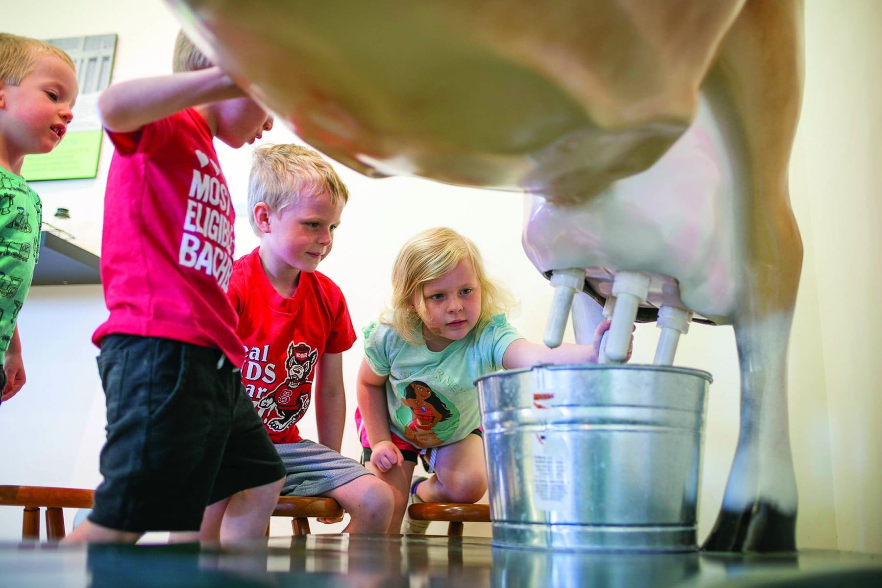 NC_State_Dairy_Farm_for_Walter_Magazine_20190423_photo_by_Justin_Kase_Conder_0118