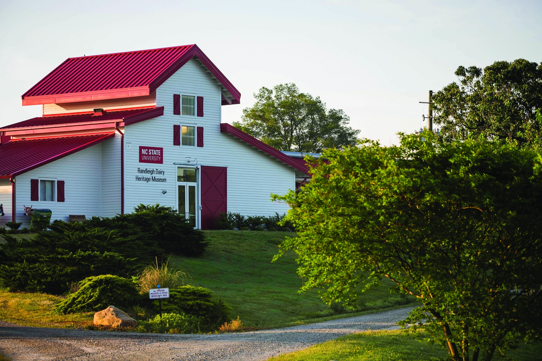 NC_State_Dairy_Farm_for_Walter_Magazine_20190501_photo_by_Justin_Kase_Conder_0661