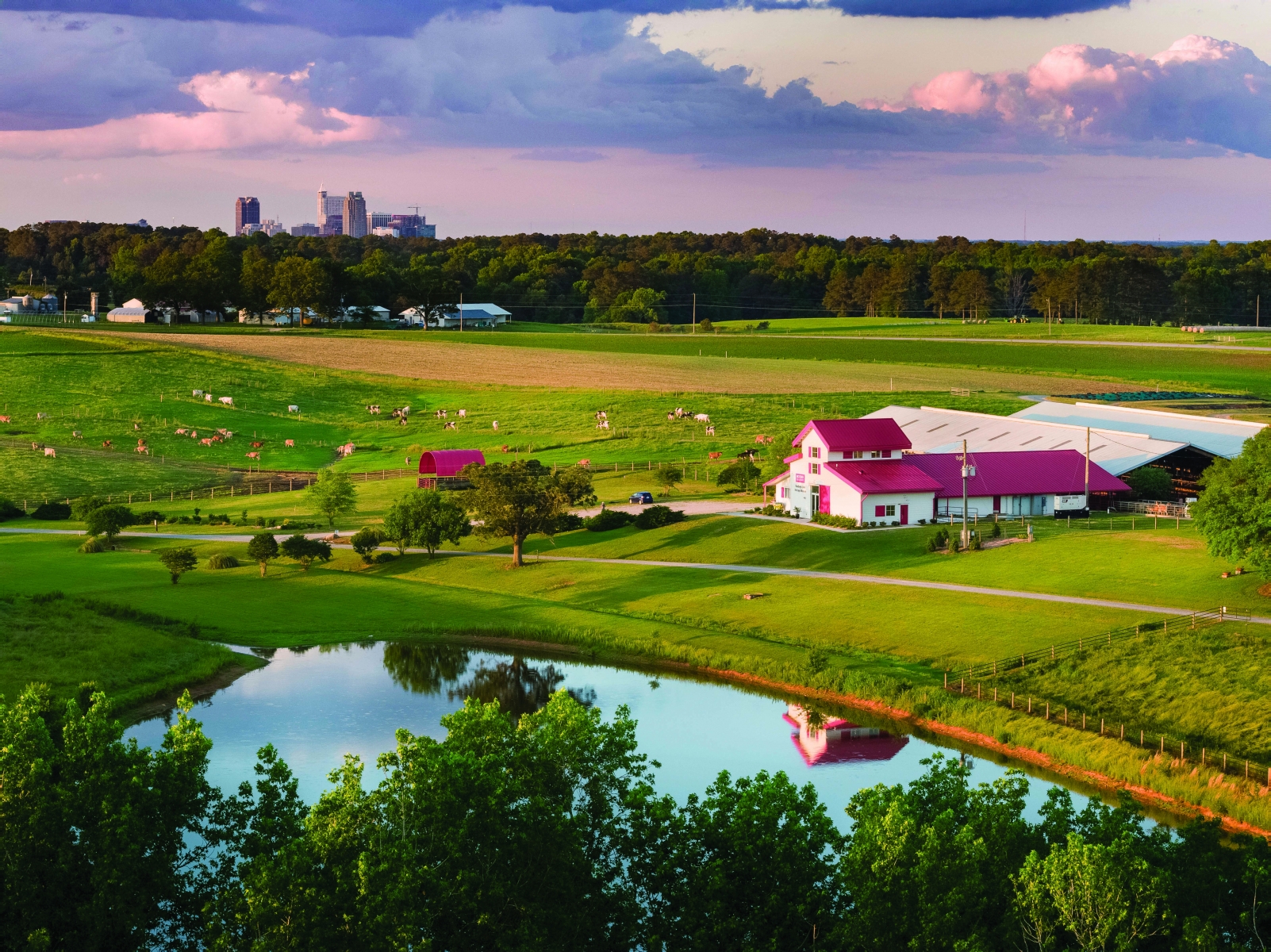 NC_State_Dairy_Farm_for_Walter_Magazine_20190513_photo_by_Justin_Kase_Conder_0108