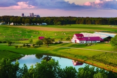 NC_State_Dairy_Farm_for_Walter_Magazine_20190513_photo_by_Justin_Kase_Conder_0108