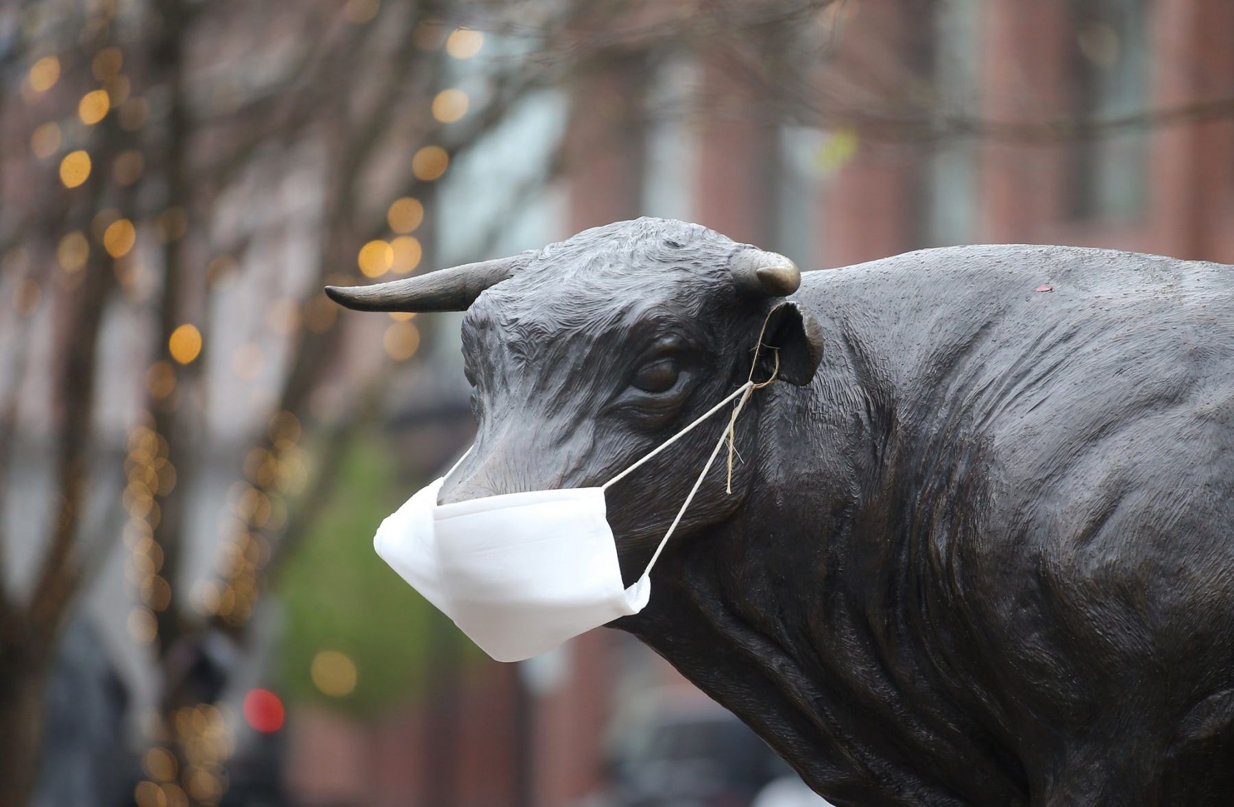 Major the Bull wears a face mask in downtown Durham.March 19, 2020. Durham, NC