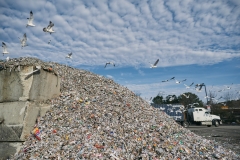 2WalterMagazine_Recycling_02-19-19_149