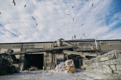 WalterMagazine_Recycling_02-19-19_410