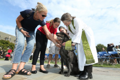 Blessing of the Animals at Duke Chapel. | photo by Bob Karp