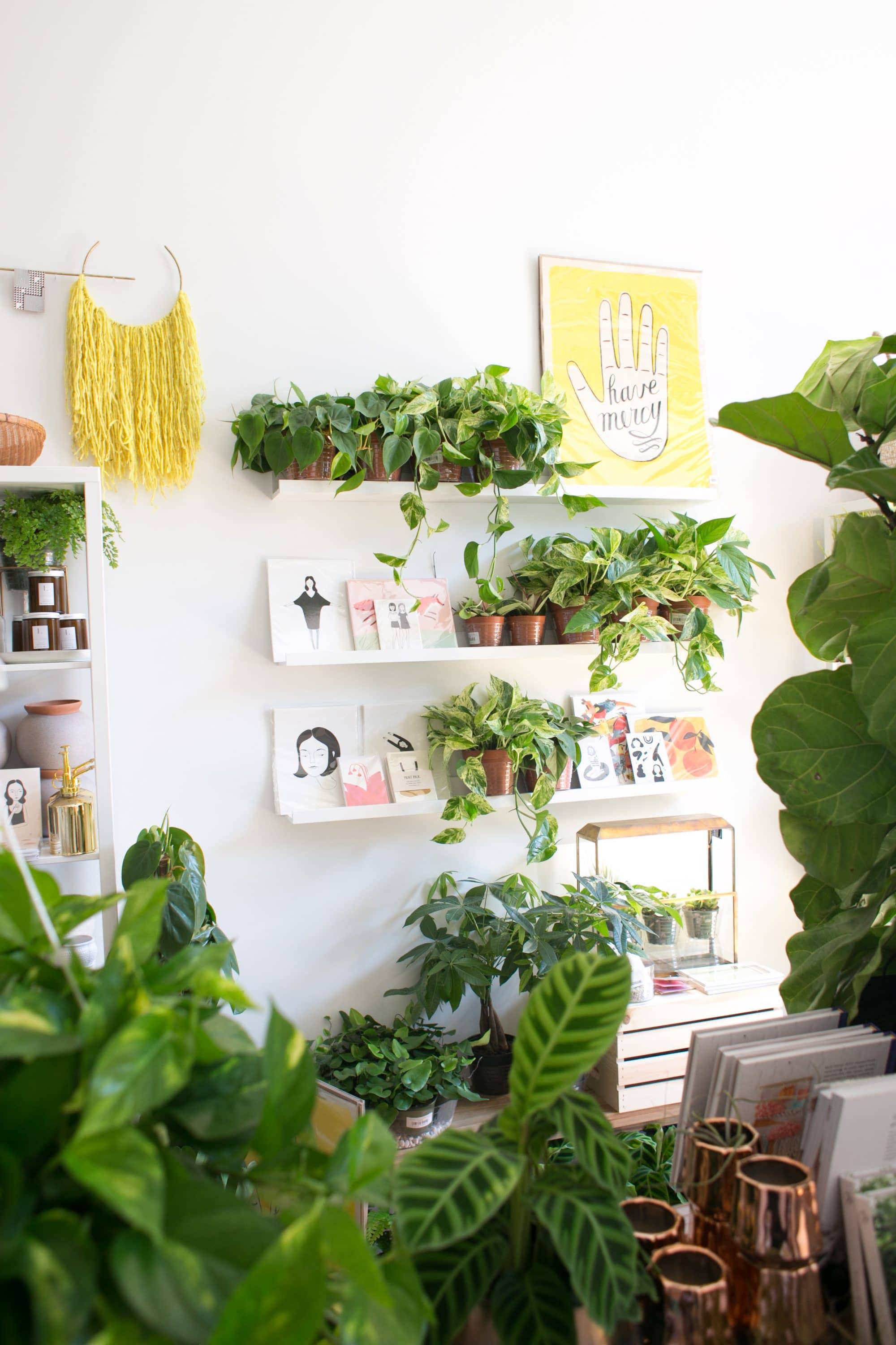Plant care with The Zen Succulent - WALTER Magazine