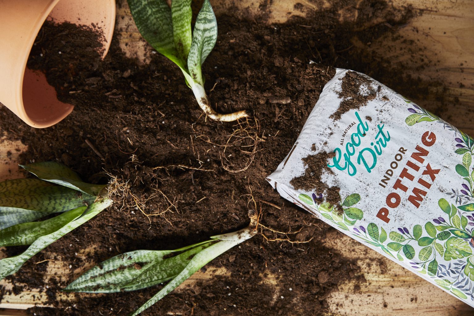 Getting Ready to Garden? Get Your Soil Tested First WALTER Magazine