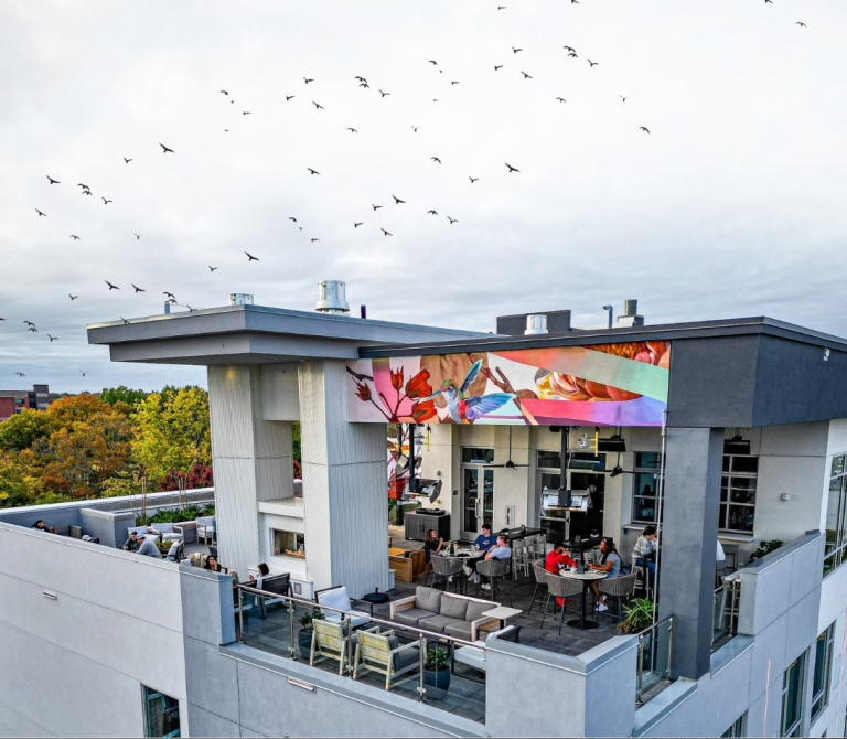 10 Rooftop Bars in Raleigh - WALTER Magazine